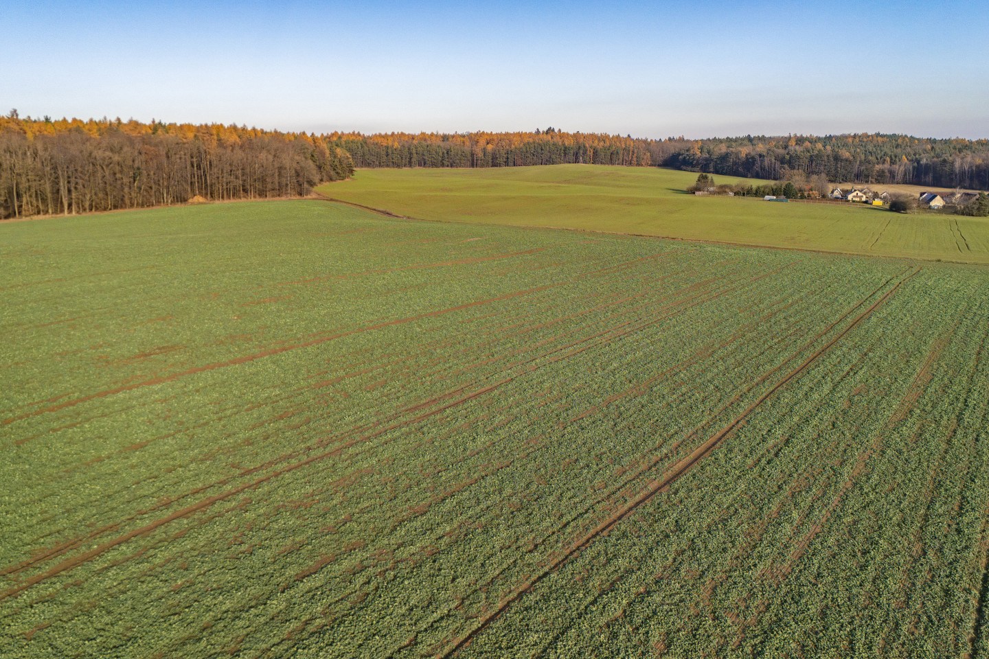 Prodej pole Zemětice 3590 m2