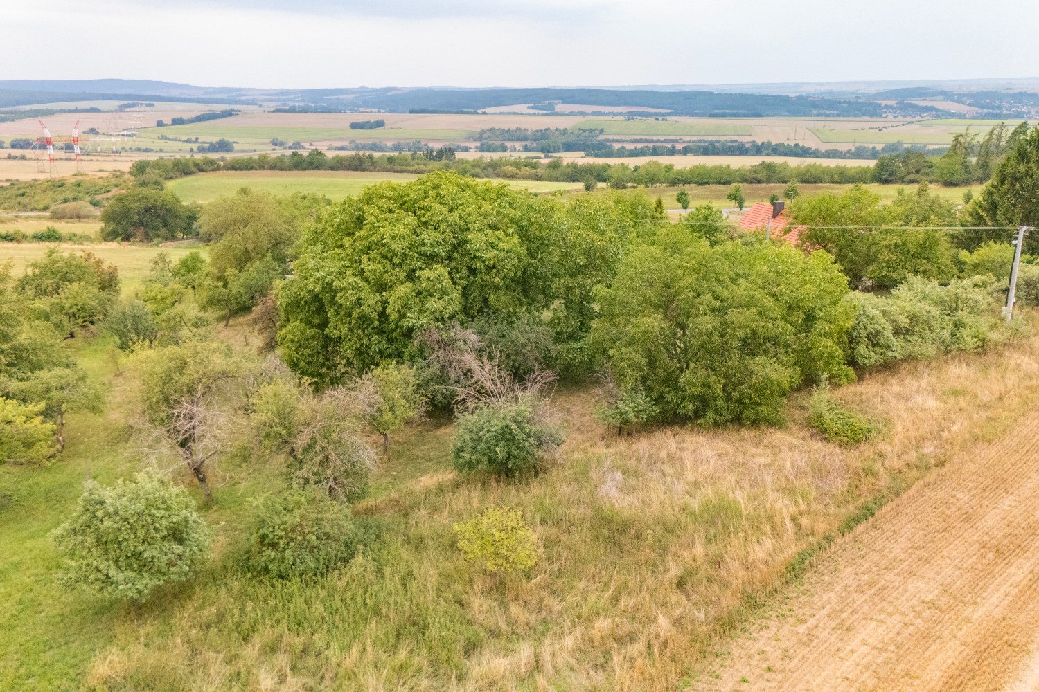 Prodej pozemku k bydlení, 3359 m², Petrovice