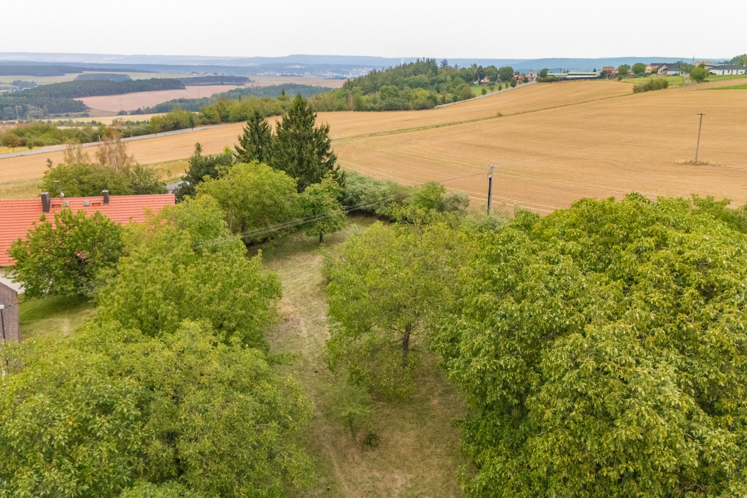 Prodej pozemku k bydlení, 3359 m², Petrovice