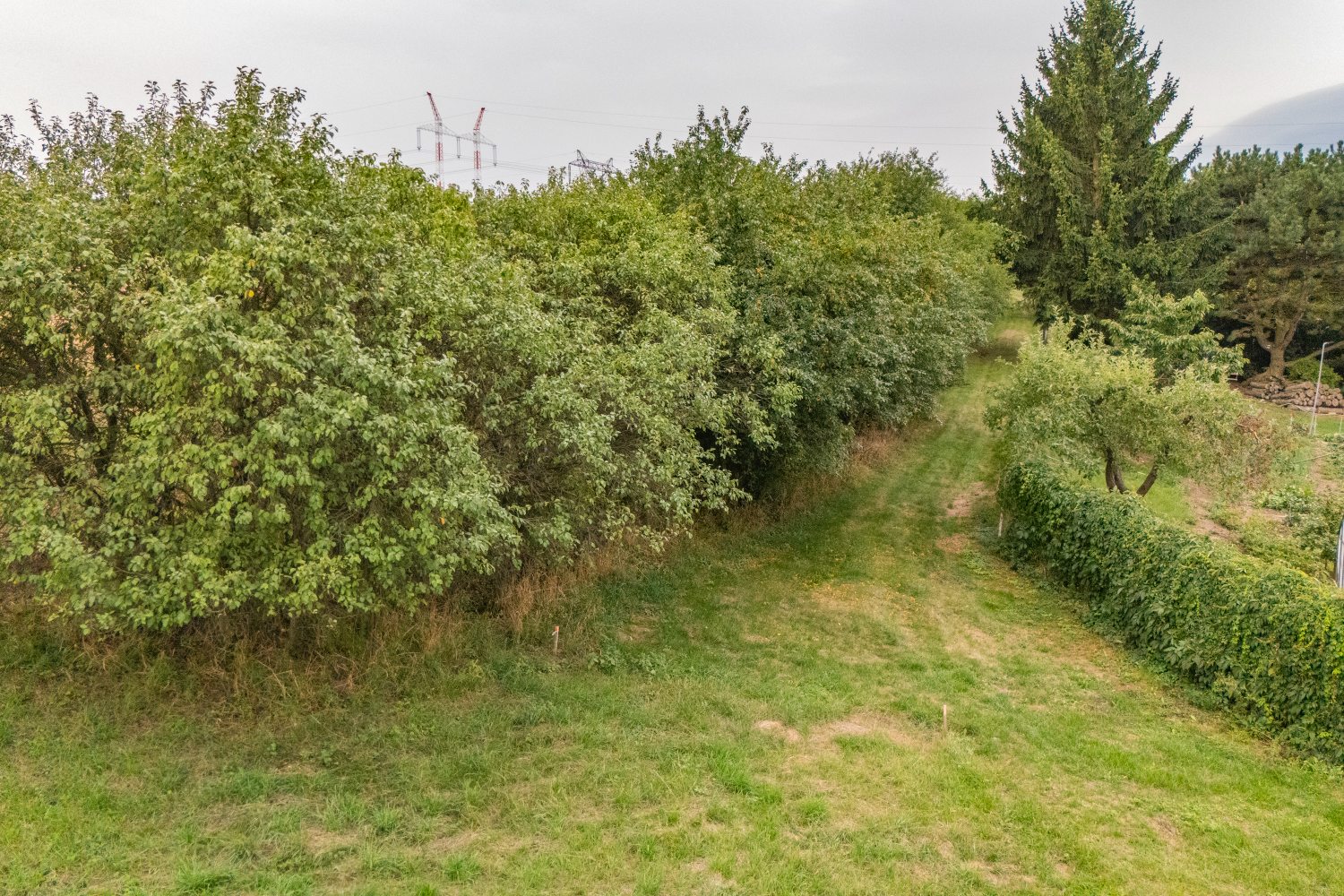 Prodej pozemku k bydlení, 3359 m², Petrovice